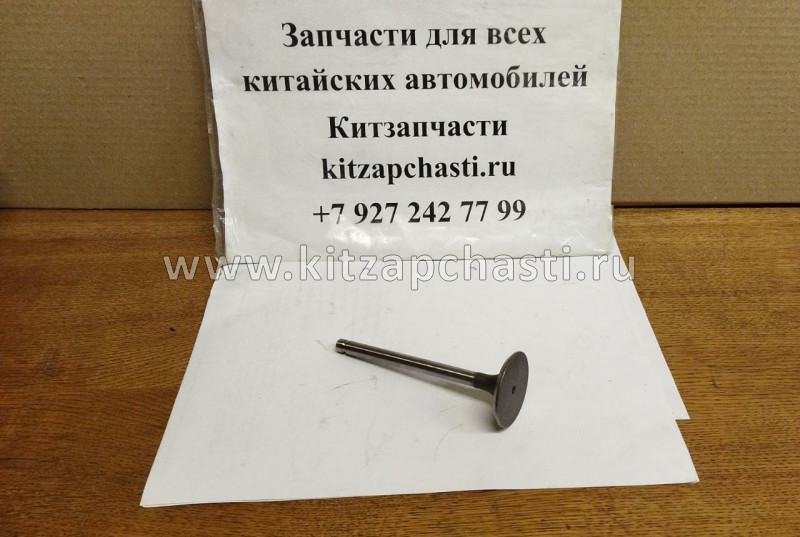 Клапан впускной BAW Fenix 1044 Евро 2 4100QB-03-002